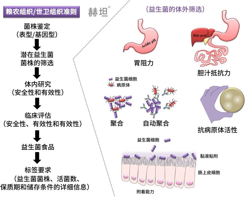 微生物菌剂助力现代农业生态建设