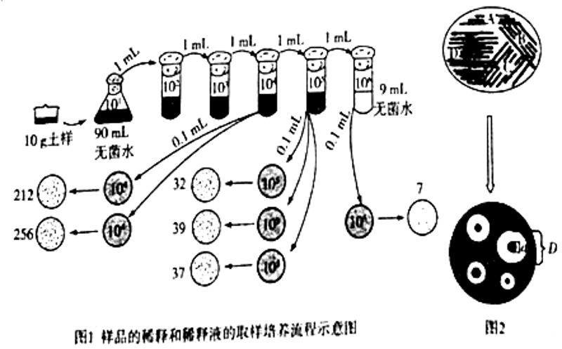 生物有机肥引领绿色农业新风尚