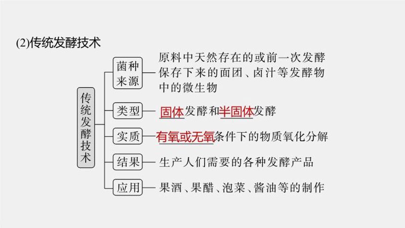生物有机肥在现代农业中的璀璨光芒