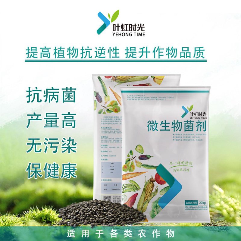 生物技术转让：开启科研成果转化新篇章